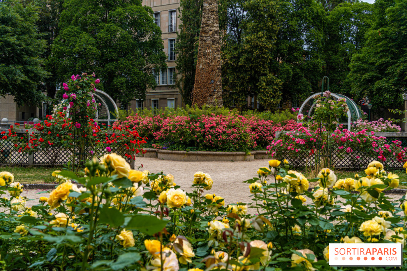 La roseraie du Square René-le-Gall