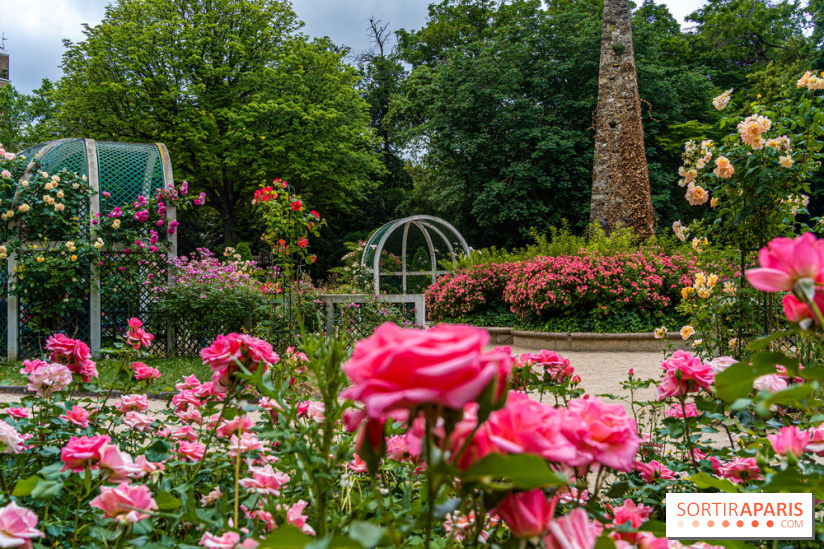 La roseraie du Square René-le-Gall