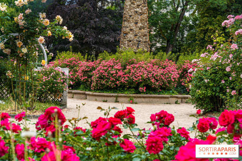 La roseraie du Square René-le-Gall