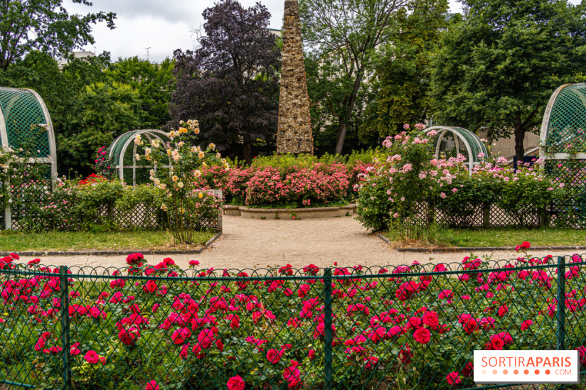 La roseraie du Square René-le-Gall