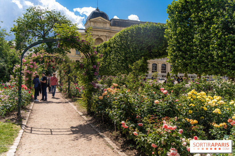 Photos La roseraie du Jardin des Plantes 