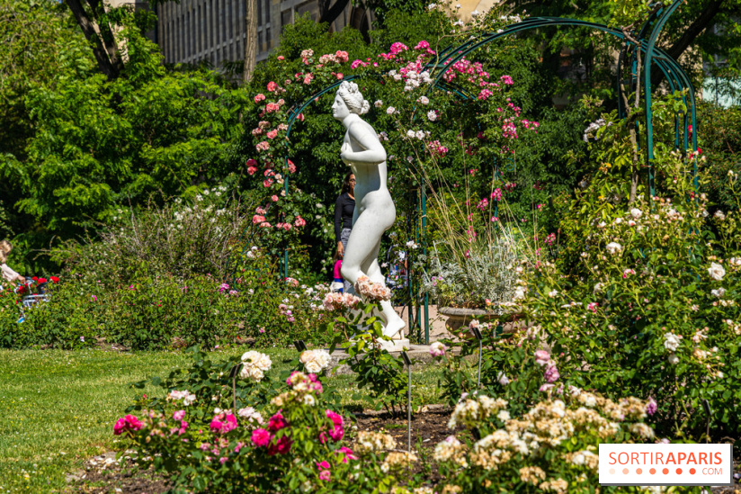 Photos La roseraie du Jardin des Plantes 