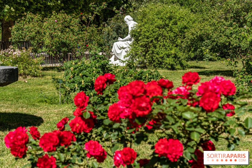 Photos La roseraie du Jardin des Plantes 