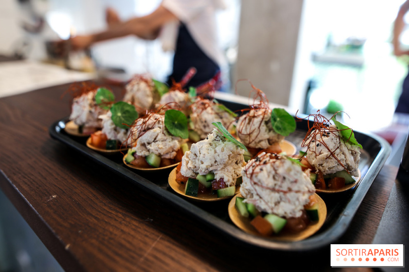 HOBA à Paris, nos photos