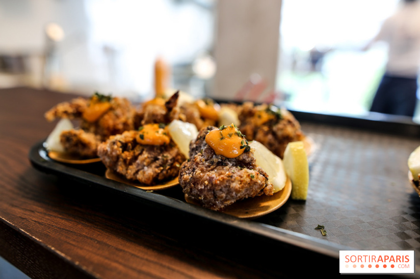 HOBA à Paris, nos photos