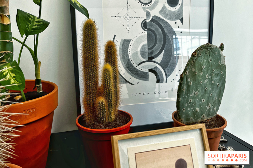 Rayon Noir, le salon de tatouage et de design moderne et accueillant du 12e arrondissement