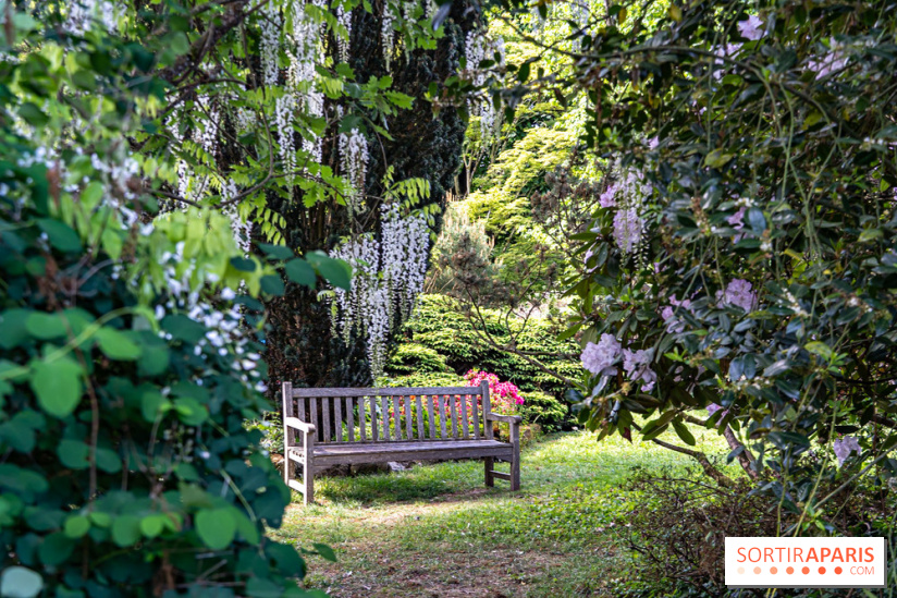 Arboretum de la Vallée-aux-Loups, une balade au milieu des arbres remarquables