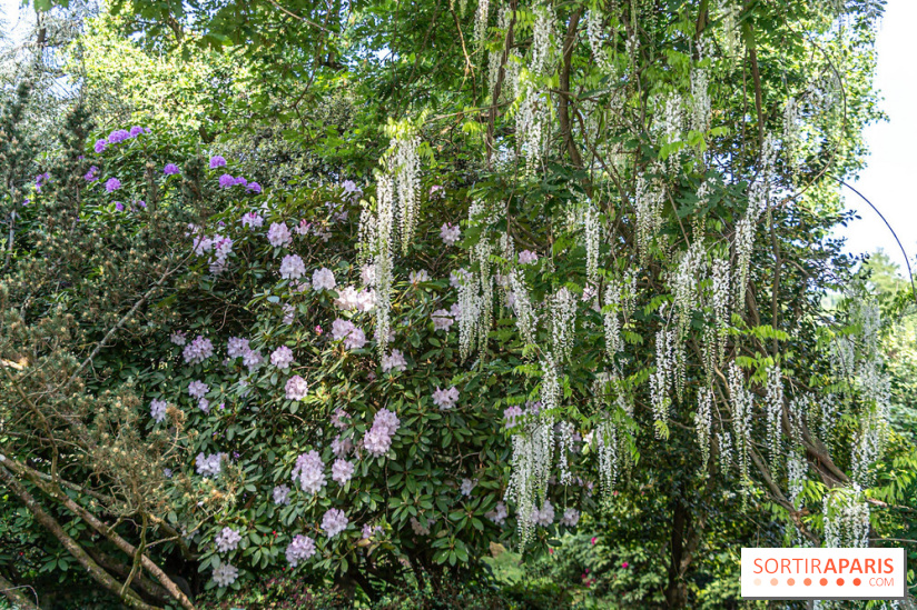 Arboretum de la Vallée-aux-Loups, une balade au milieu des arbres remarquables
