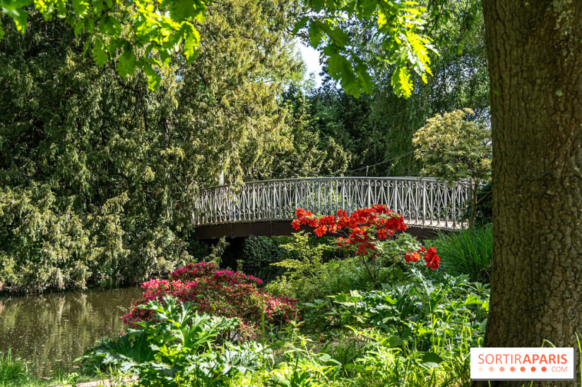 Arboretum de la Vallée-aux-Loups, une balade au milieu des arbres remarquables