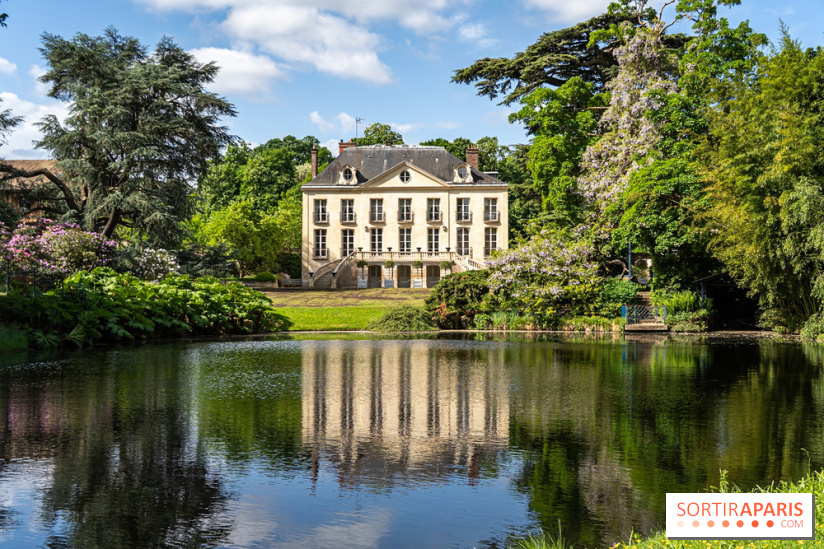 Arboretum de la Vallée-aux-Loups, une balade au milieu des arbres remarquables - A7C07755
