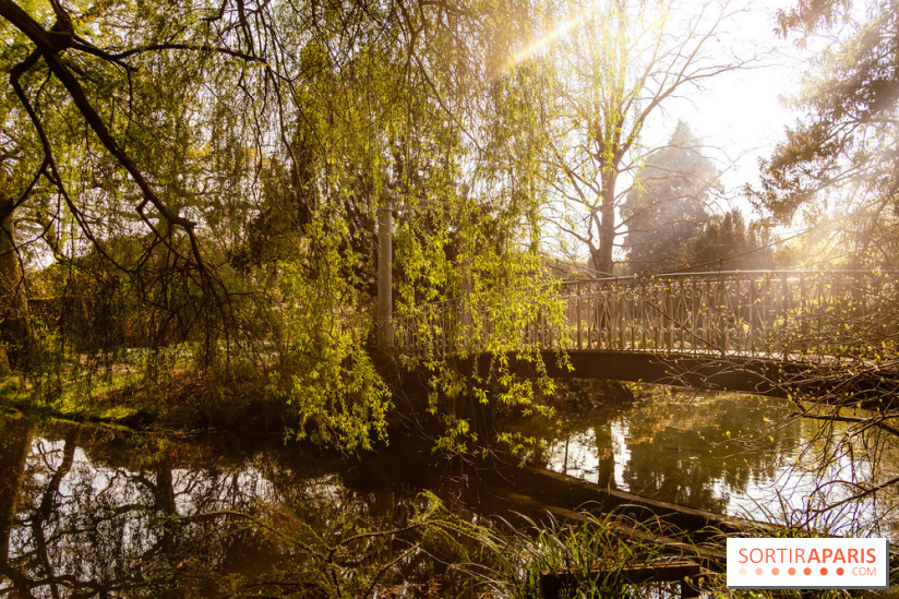 Arboretum de la Vallée-aux-Loups, une balade au milieu des arbres remarquables