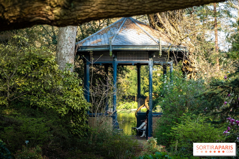 Arboretum de la Vallée-aux-Loups, une balade au milieu des arbres remarquables