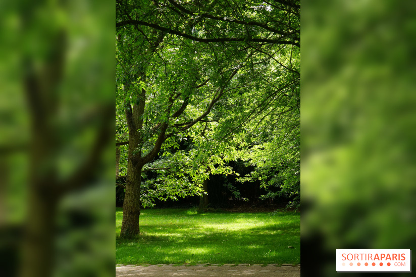 Arboretum de la Vallée-aux-Loups, une balade au milieu des arbres remarquables