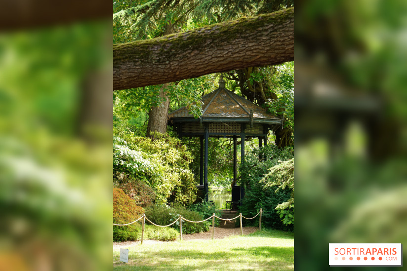 Arboretum de la Vallée-aux-Loups, une balade au milieu des arbres remarquables