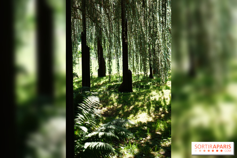 Arboretum de la Vallée-aux-Loups, une balade au milieu des arbres remarquables