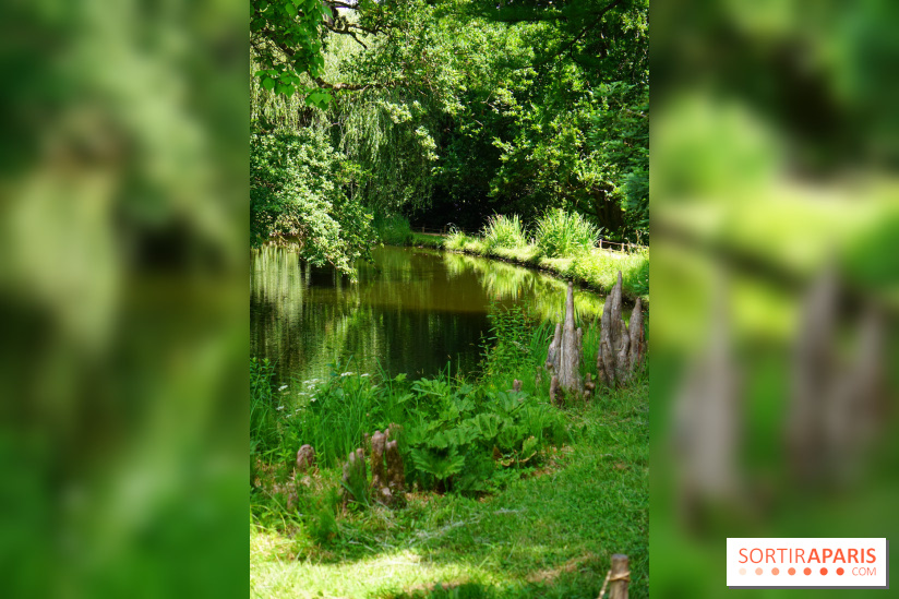 Arboretum de la Vallée-aux-Loups, une balade au milieu des arbres remarquables
