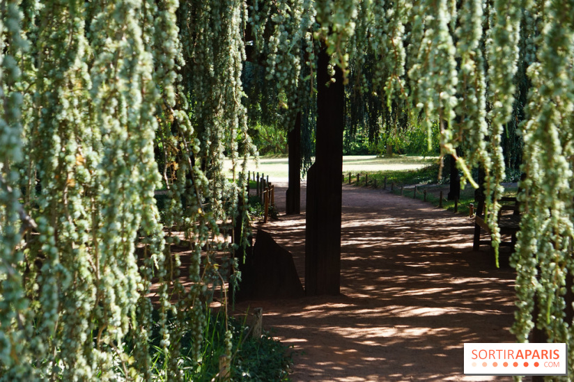 Arboretum de la Vallée-aux-Loups, une balade au milieu des arbres remarquables