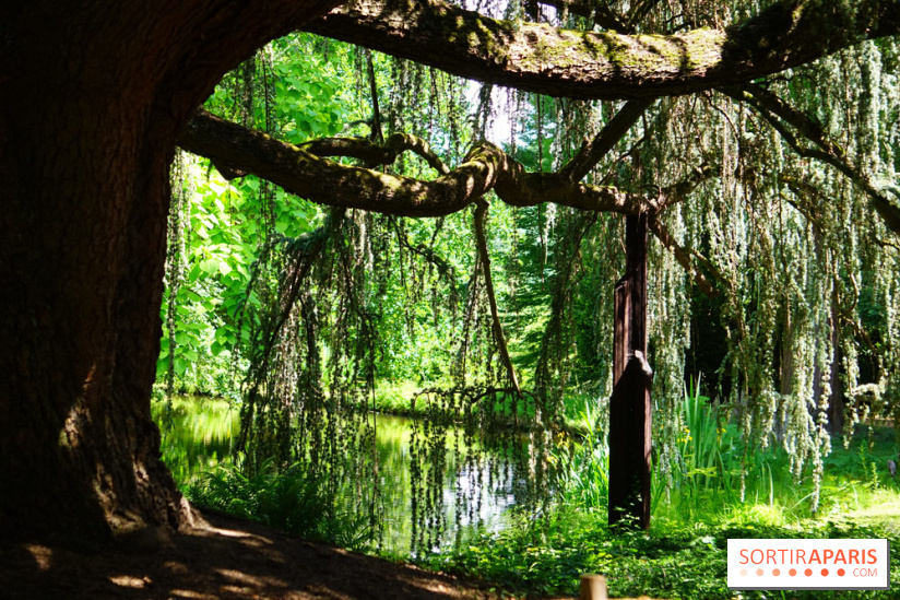 Arboretum de la Vallée-aux-Loups, une balade au milieu des arbres remarquables