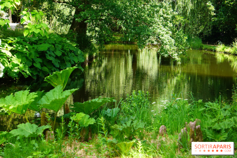Arboretum de la Vallée-aux-Loups, une balade au milieu des arbres remarquables