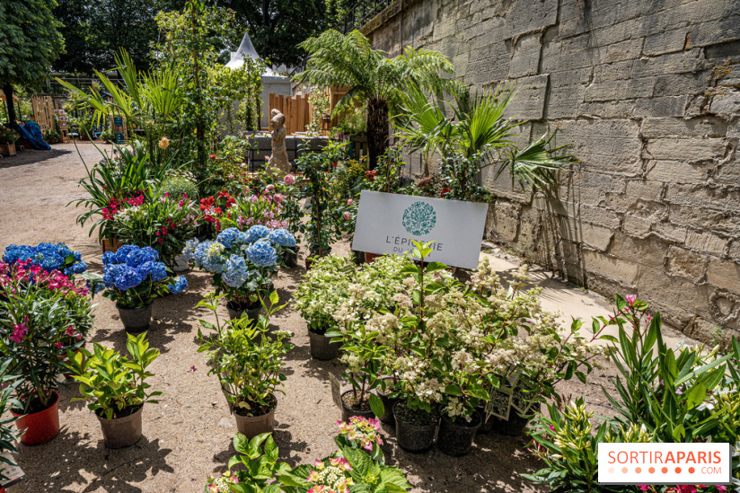 Jardins jardin aux Tuileries 2022