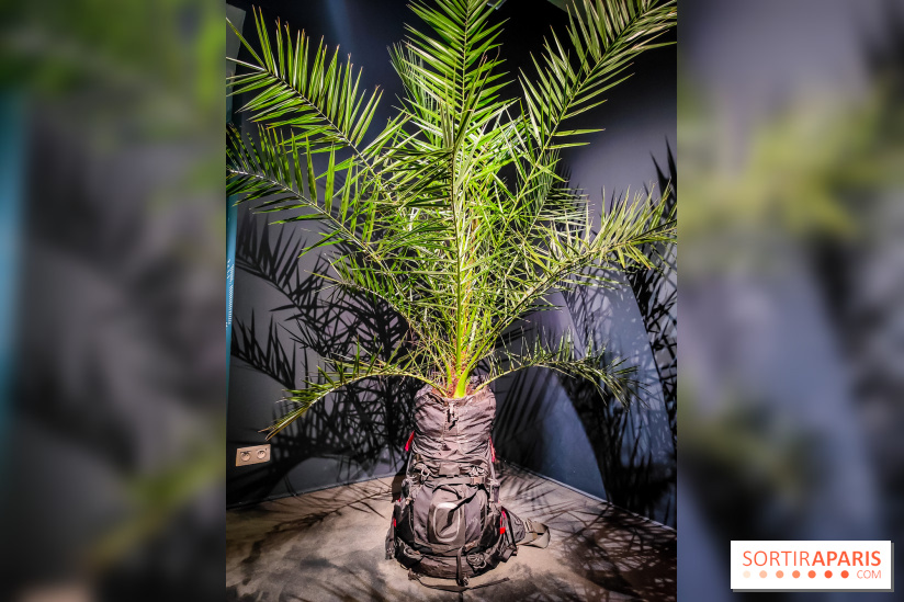 Faut-il voyager pour être heureux ?, l'exposition dépaysante de l'Espace Fondation EDF - nos photos