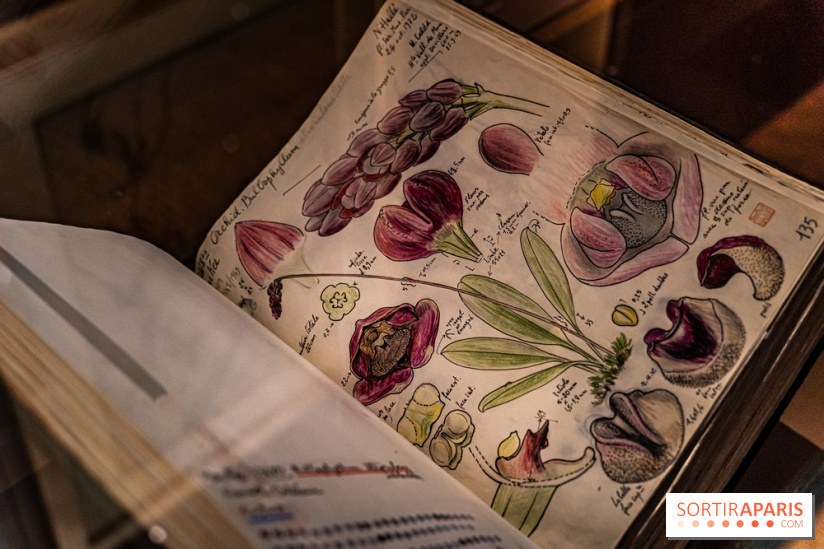 Exposition Végétal  by Chaumet aux Beaux Arts de Paris