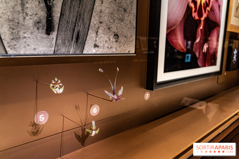 Exposition Végétal  by Chaumet aux Beaux Arts de Paris