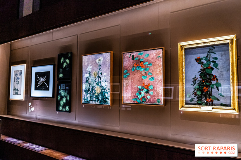 Exposition Végétal  by Chaumet aux Beaux Arts de Paris