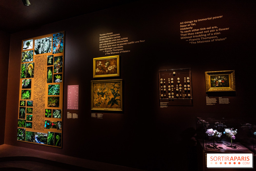 Exposition Végétal  by Chaumet aux Beaux Arts de Paris