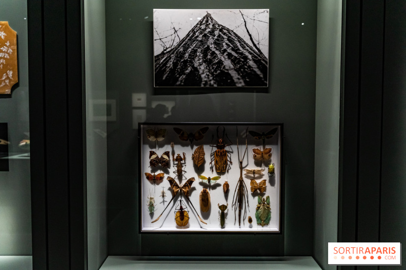 Exposition Végétal  by Chaumet aux Beaux Arts de Paris