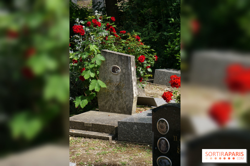 Le cimetière canin à Asnières-sur-Seine