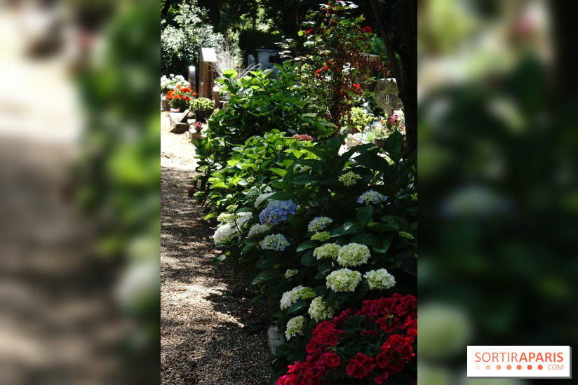 Le cimetière canin à Asnières-sur-Seine