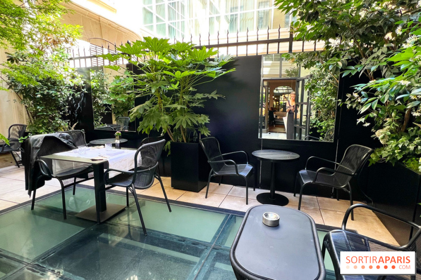 Cléo, Le Narcisse Blanc - Eté 2022