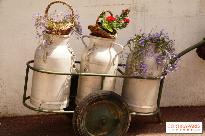 La fromagerie Ganot à Jouarre