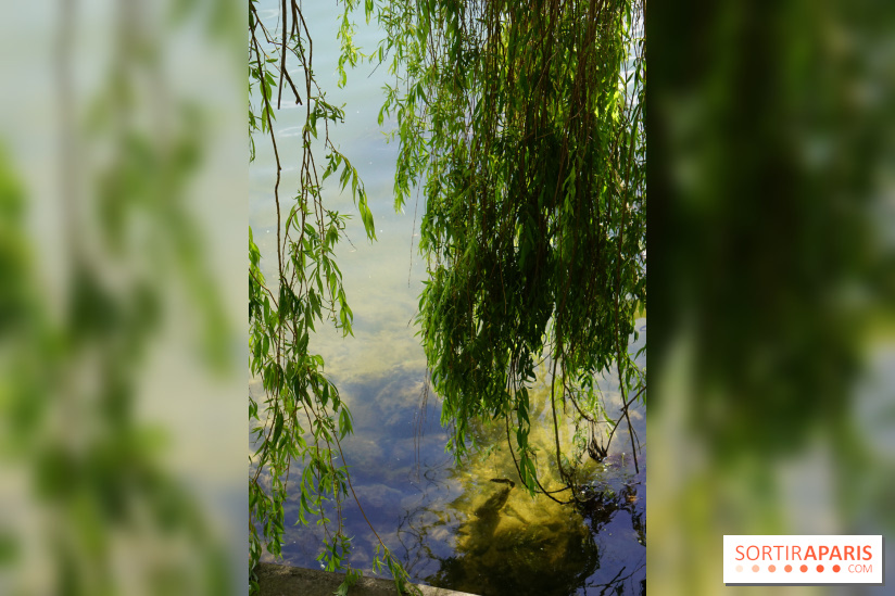 l'Île des Impressionnistes à Chatou