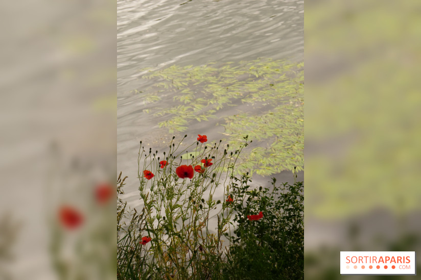 l'Île des Impressionnistes à Chatou