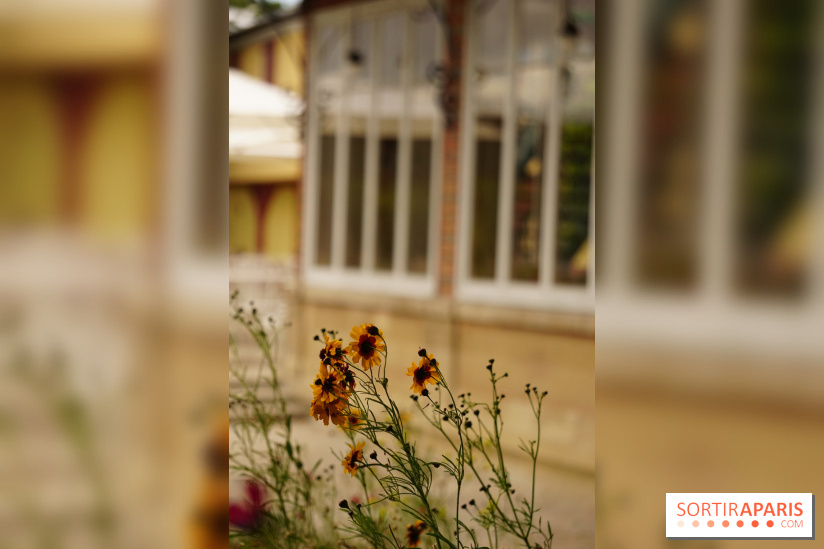 l'Île des Impressionnistes à Chatou