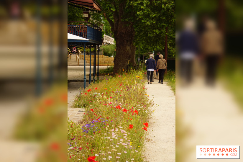 l'Île des Impressionnistes à Chatou