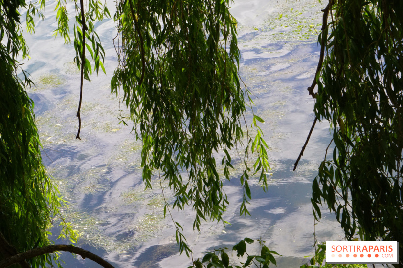 l'Île des Impressionnistes à Chatou