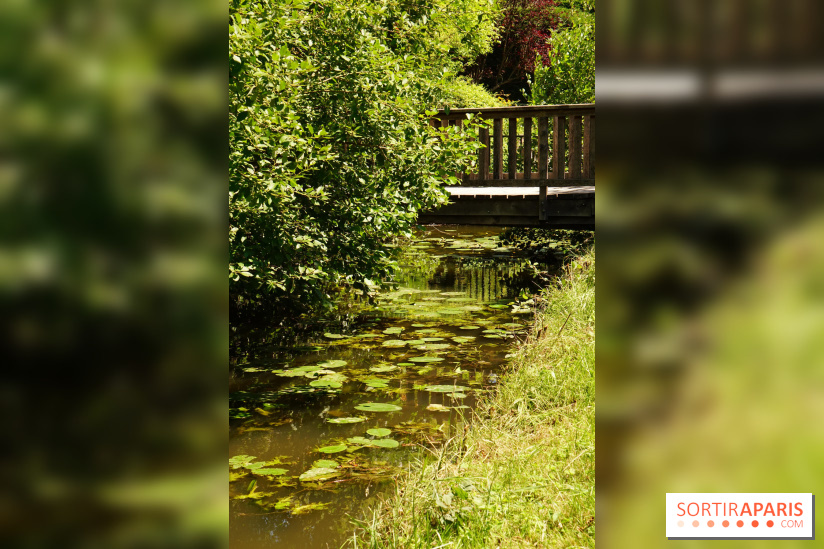 La promenade des petits ponts dans la vallée de Chevreuse