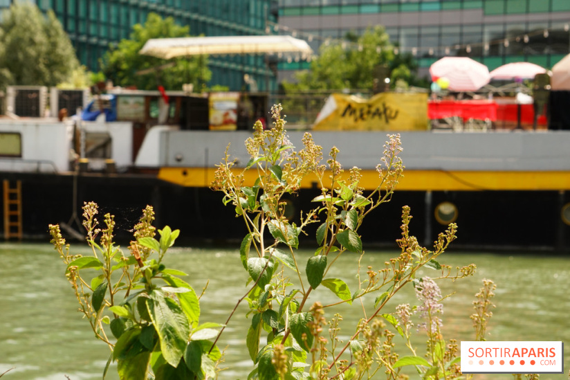 Une balade à vélo depuis Paris pour se rendre aux Cueillettes de Conflans