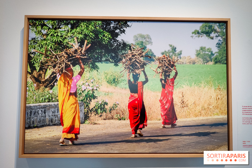 Les femmes portent le monde : l'exposition photo de Lekha Singh au musée de l'Homme, nos photos