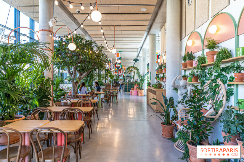 Titi Palacio, bar-restaurant festif à la Félicité 