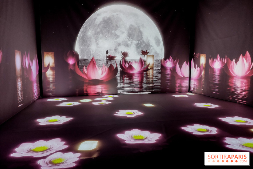 Exposition immersive autour de la Fête des lanternes, nos photos