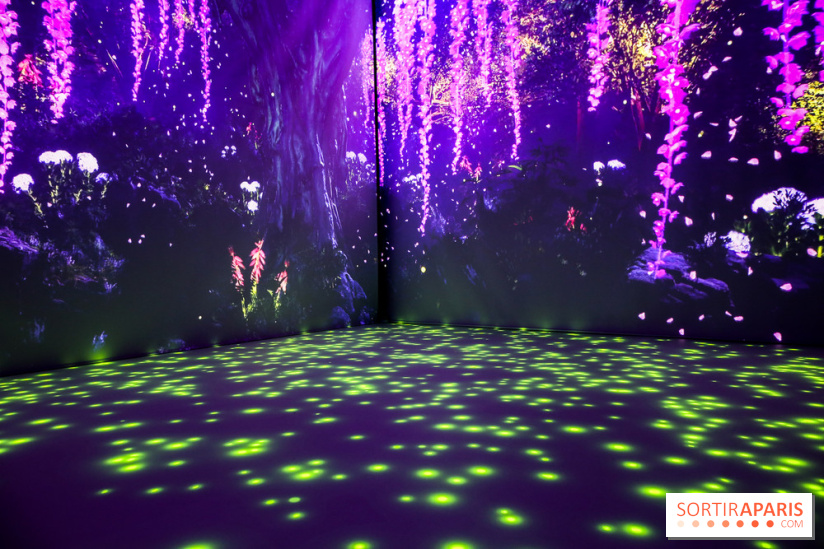 Exposition immersive autour de la Fête des lanternes, nos photos