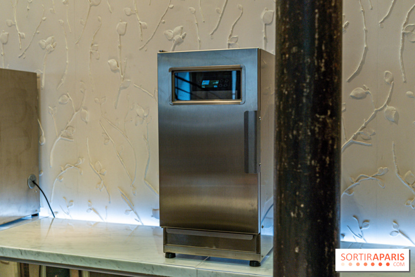 Les glaces de Jacques Génin à Paris