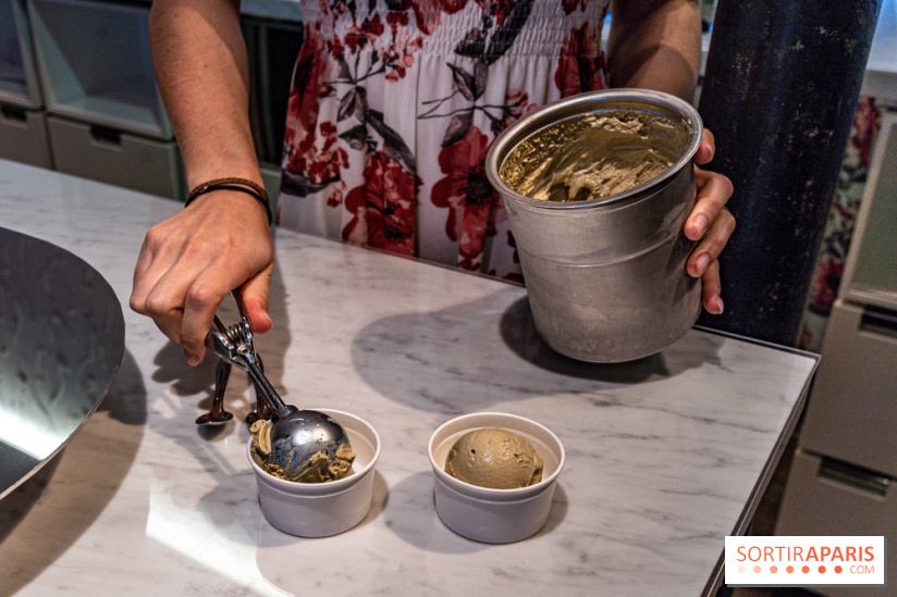 Les glaces de Jacques Génin à Paris