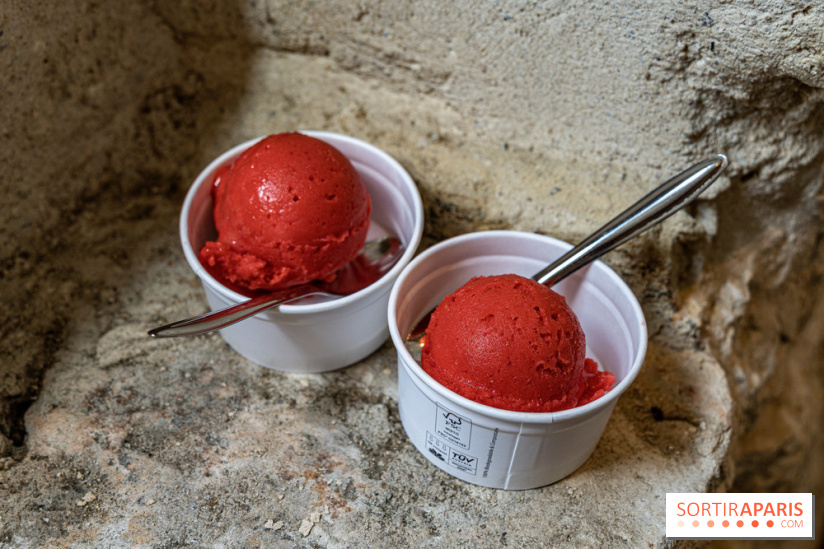 Les glaces de Jacques Génin à Paris
