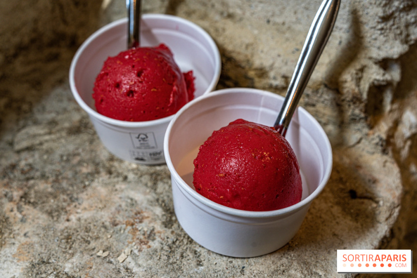 Les glaces de Jacques Génin à Paris