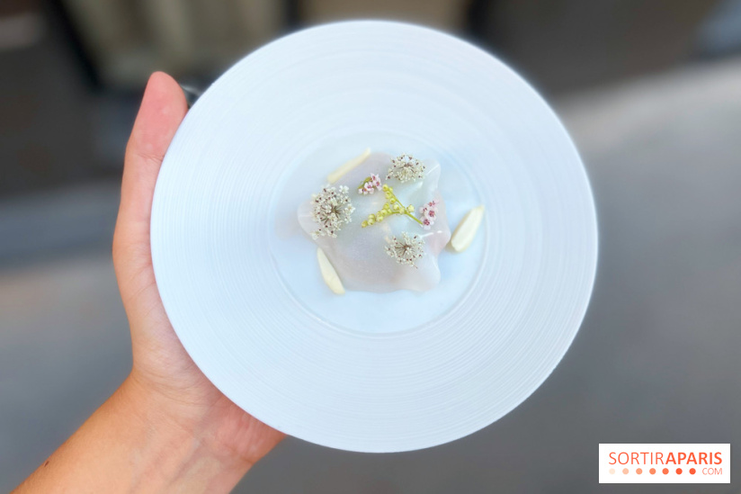 NESO Guillaume Sanchez x The Botanist